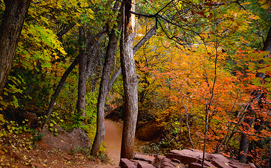 Zion National Park